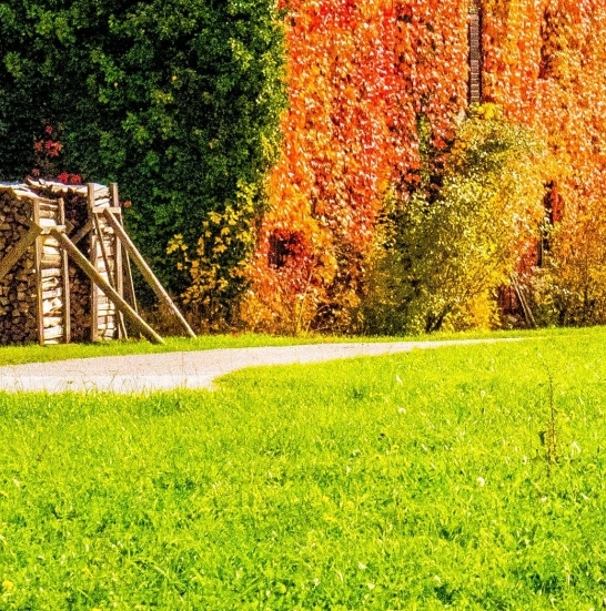 紫光展锐科技有限公司