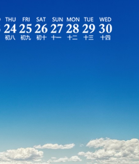 世界上最小的树叶图片