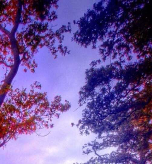 科技园区派出所电话