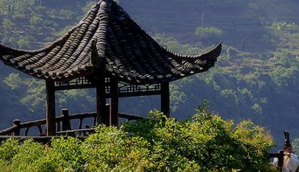 职场心理文章