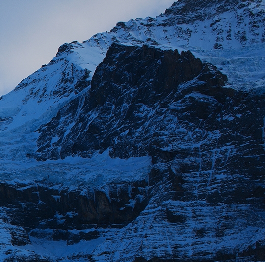 青少年科技创新大赛作品创意说明