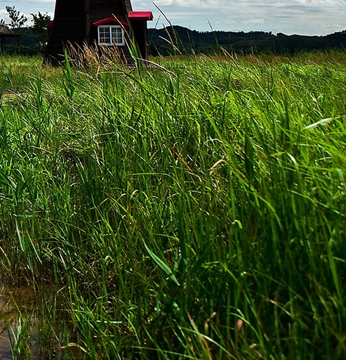 杭州科技大学研究生院官网