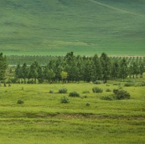 世界第二大高峰和第三大高峰