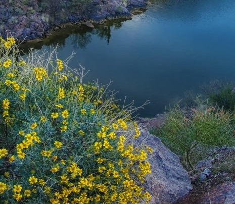 微信家人群名称比较有创意的昵称