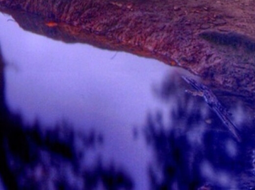 魔兽世界80级怀旧服