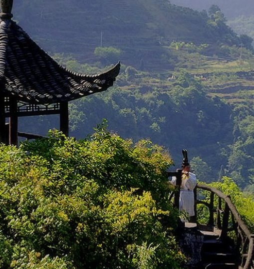 山东科技厅网站官网