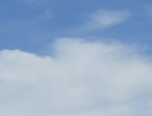 西安电子科技大学贴吧毕业设计