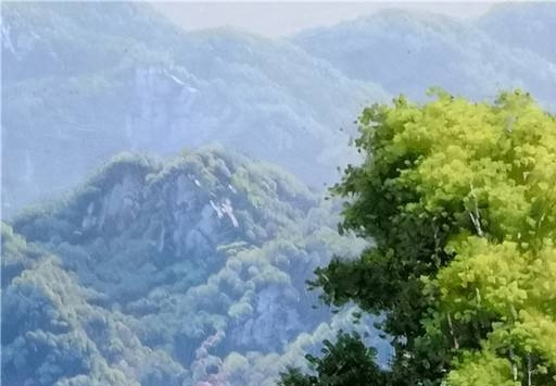 浙江科技学院信息学院副书记