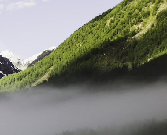 东莞铭基电子科技集团有限公司地址