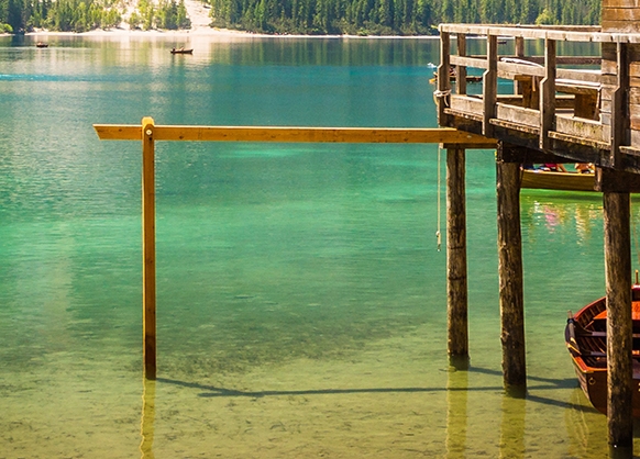 泰拉科技下载安装正版不用预约