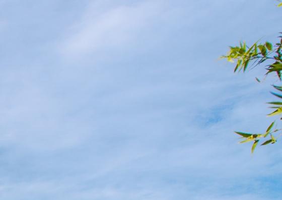 厦门网宿科技股份有限公司