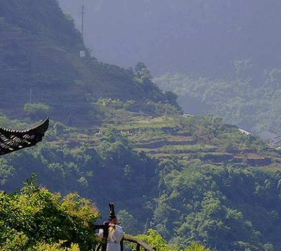 露笑科技重组最新消息