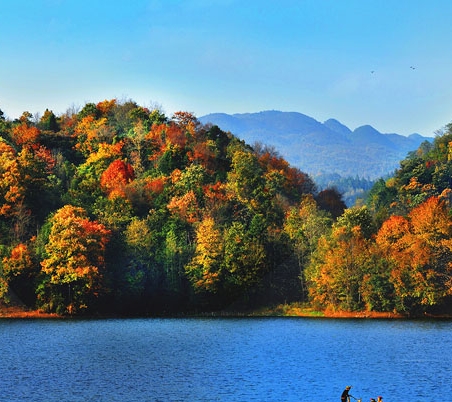 河北省科技馆门票预约