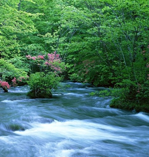 湖北双环纯碱销售部电话