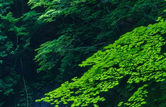 研华科技(中国)有限公司,地址电话