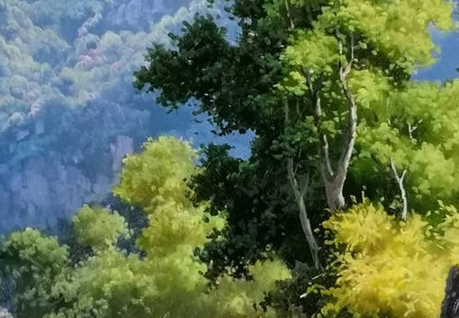 山东力明科技职业学院官网李维琦
