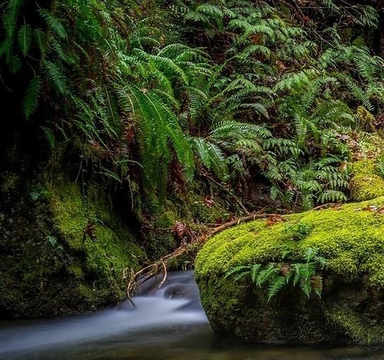 nga魔兽世界怀旧服