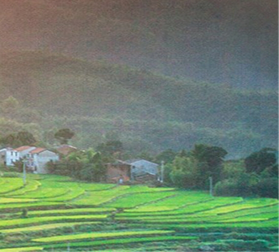 世界上最深的海沟是