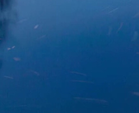 雷柏科技：引领科技潮流的先锋，专注于打造高品质无线外设产品