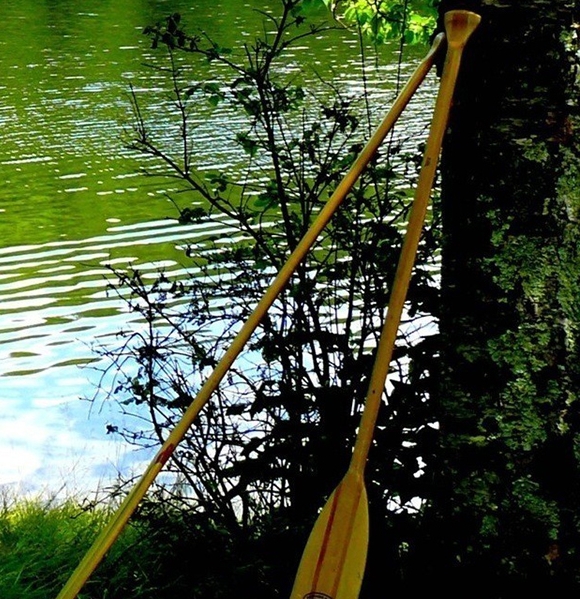 青青旅游世界老板怎么了