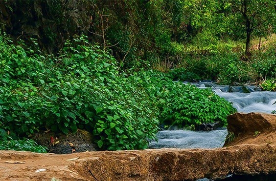 我的超级科技树 小说