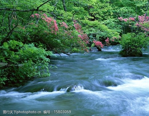 特变电工科技投资有限公司