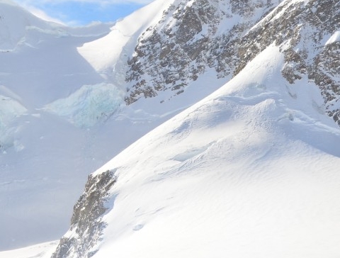 三水荷花世界有什么机动游戏