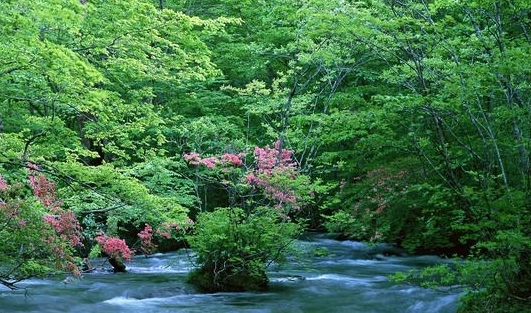 密苏里科技大学在美国什么位置