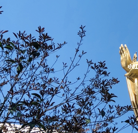 世界杯最出名的乌龙球