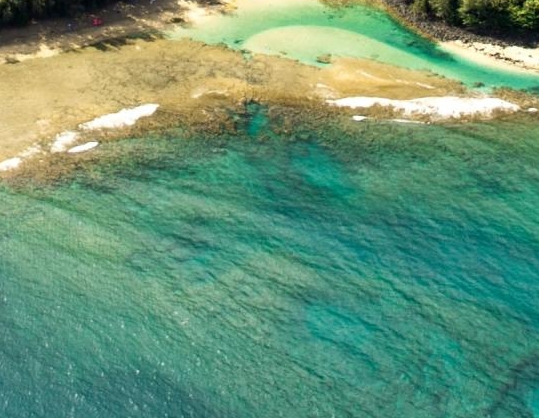 梦网科技资金流向