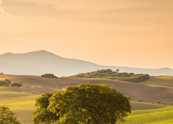 上海兆承电子科技有限公司