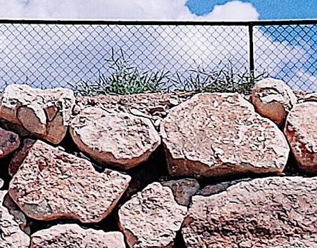 六安市科技局官网