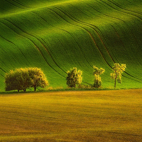 青岛海信网络科技股份有限公司招聘