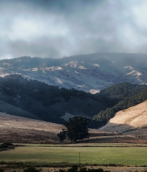 暴风科技从7.41到327