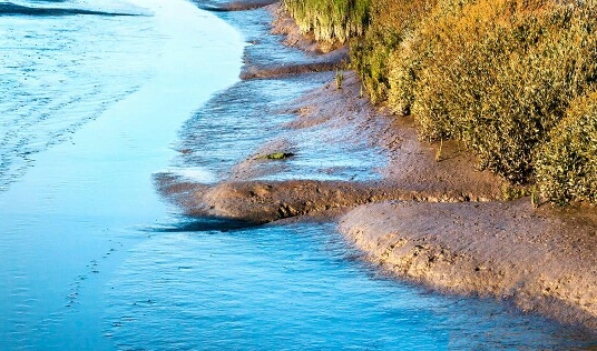 西安科技网雷显东