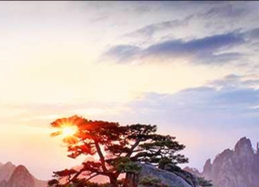 中晶科技股票股吧