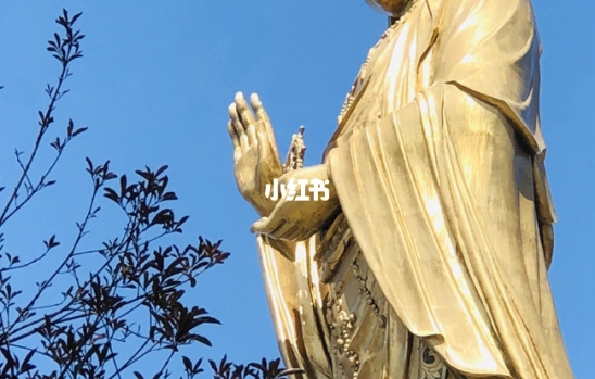 福州市科技局联手副局长，共创科技创新新篇章