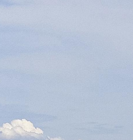 世界之大无奇不有的说说