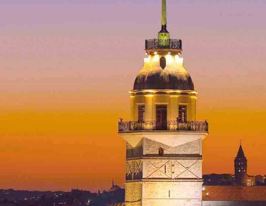 动物世界狼吃羊