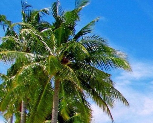 湖北科技学院教务管理系统：选课入口助你轻松选课