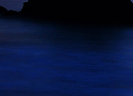 这个世界不看脸演员表介绍