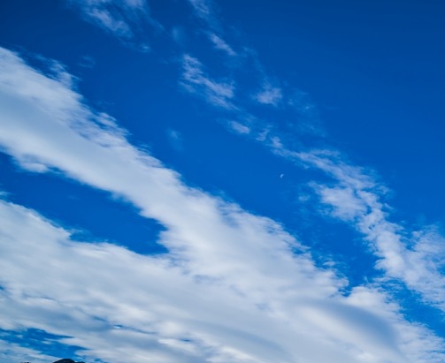 2023全国青少年科技创新大赛作品