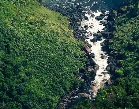 电商服务站是干什么的