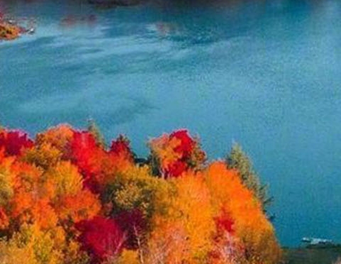 恐龙世界总动员