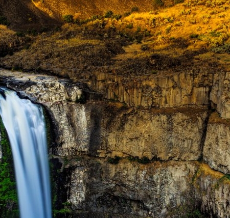 世界上真的有凤凰吗星座女