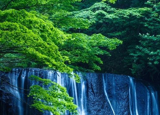 2022世界杯赛程时间表word版