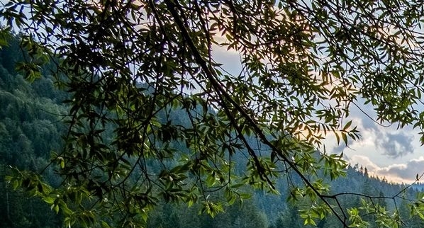 赣南师范大学科技学院专升本学费