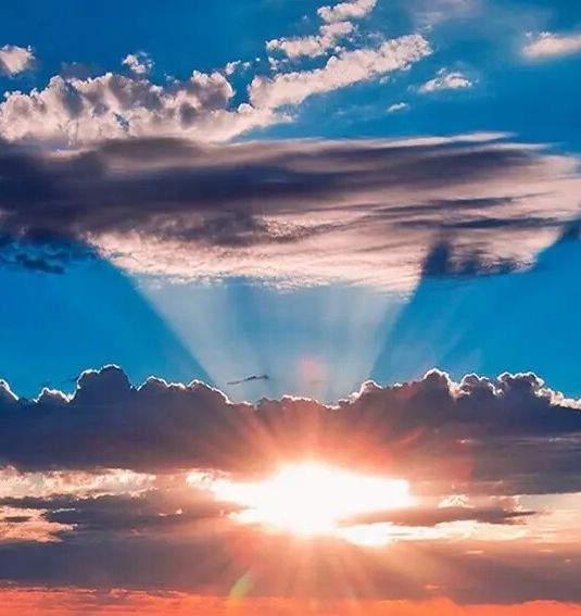 食品工业科技是几区