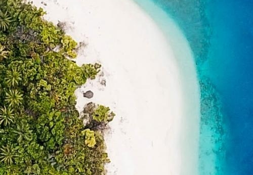 海底世界门票：探秘神奇海洋生物！优惠政策限时抢购，带你畅游水下奇观！