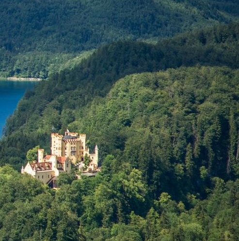 世界画家都有谁